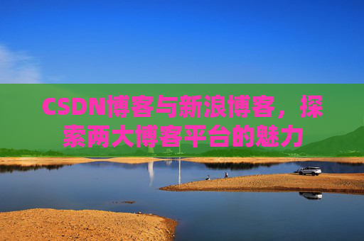 CSDN博客与新浪博客，探索两大博客平台的魅力